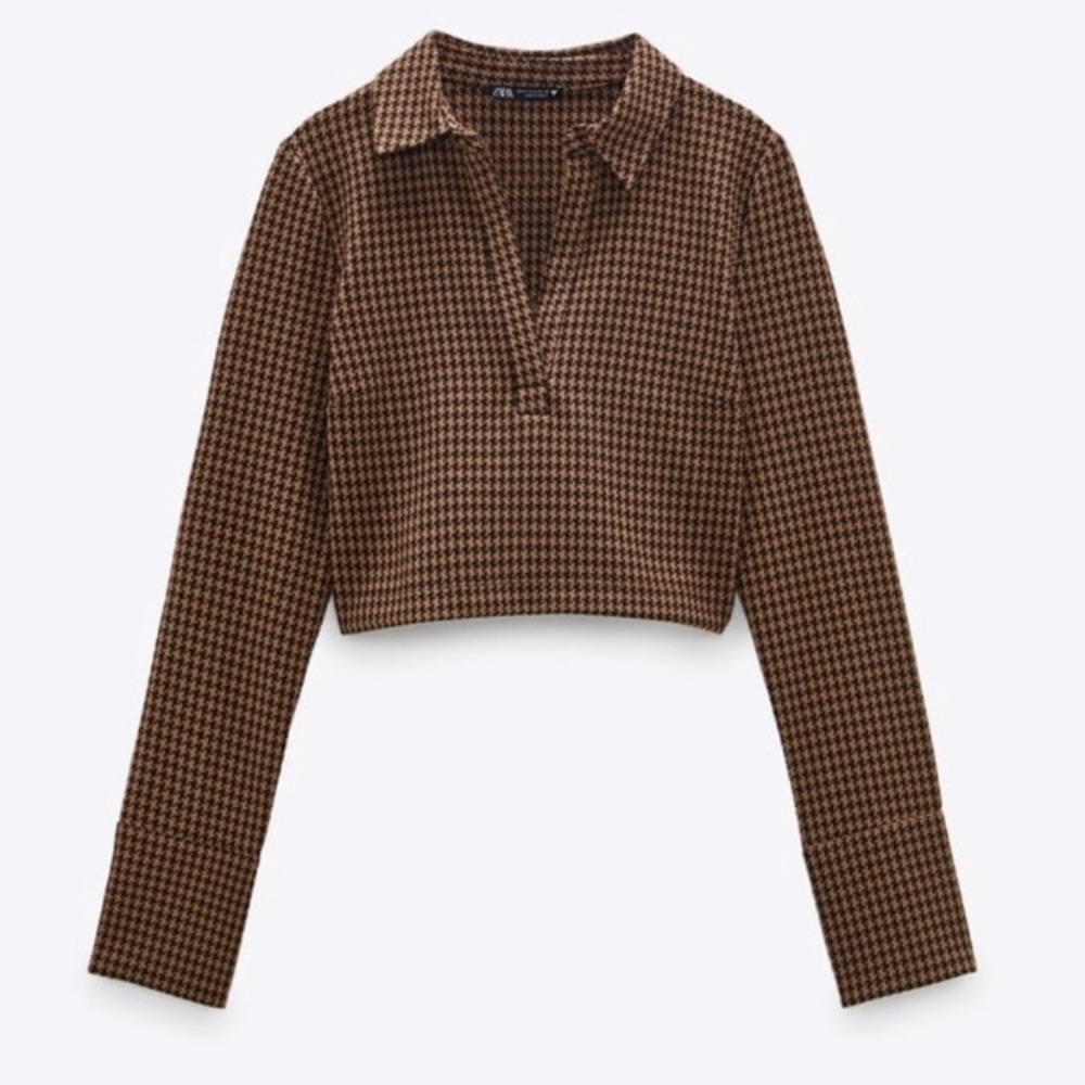Zara Brown And Black Long Sleeved Crop Top